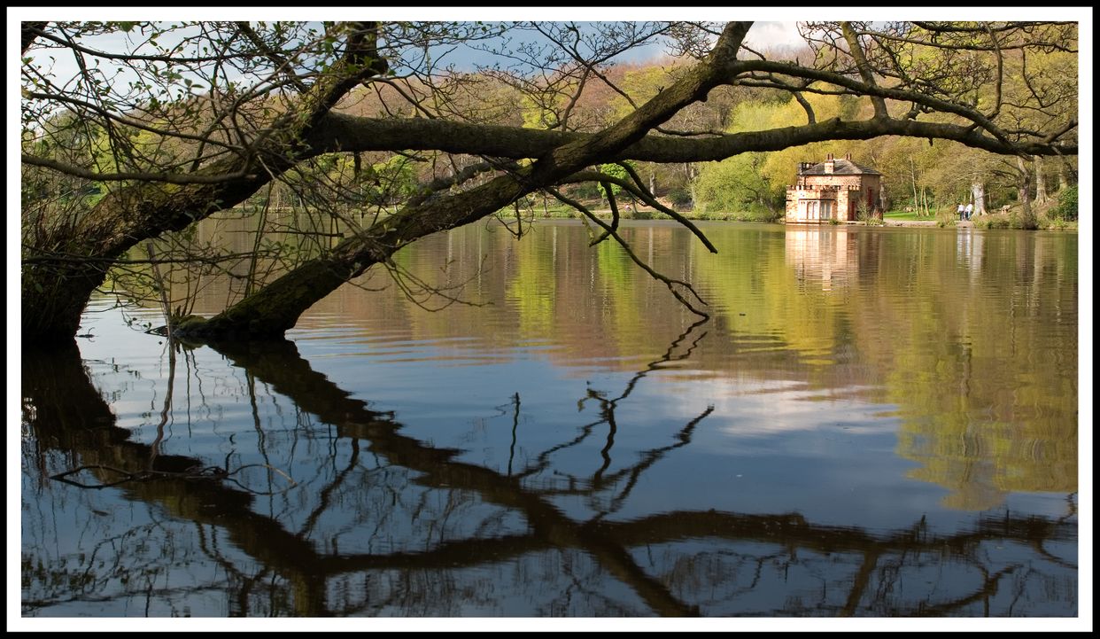 Newmillerdam Country Park