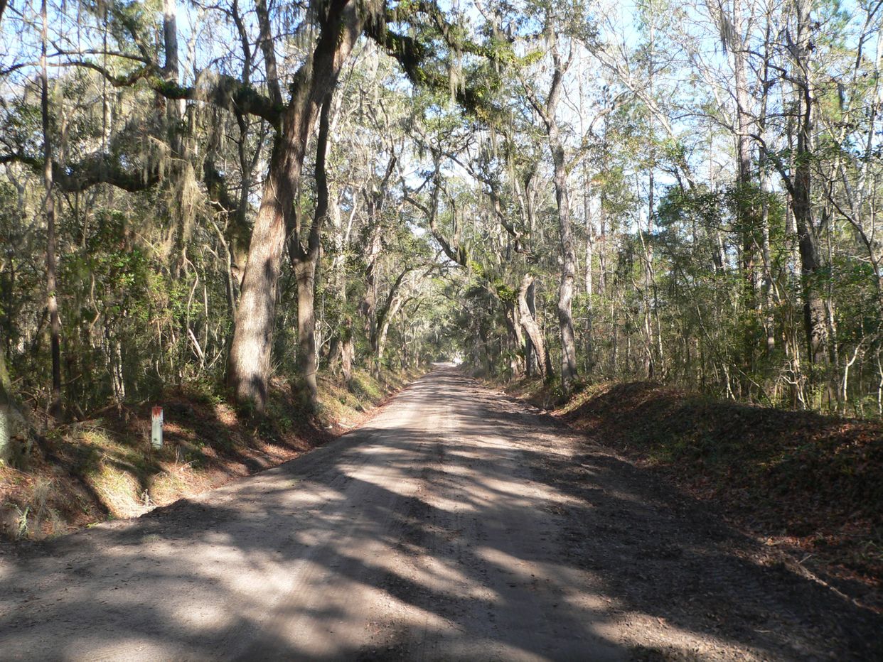 Wescott Road