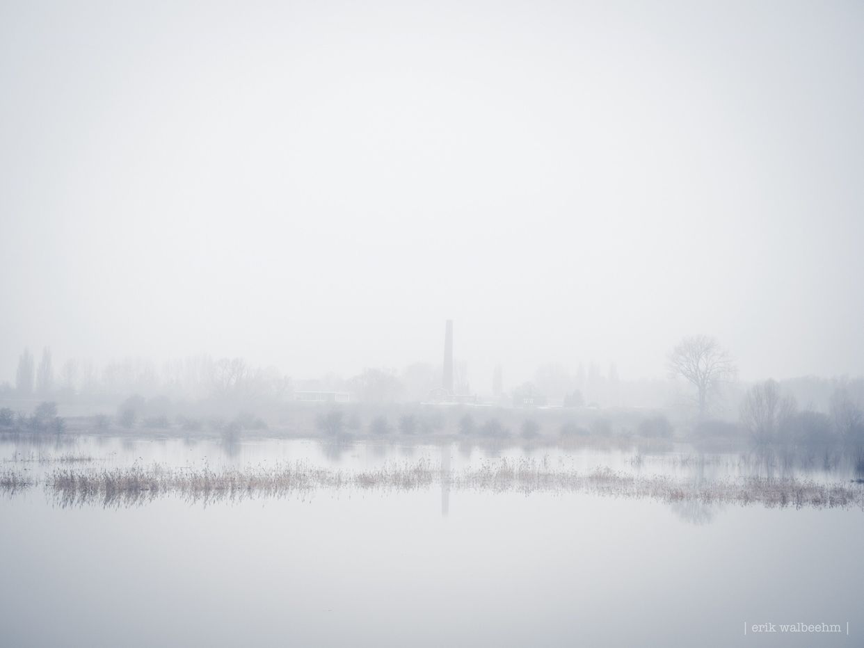 Oude Waal View