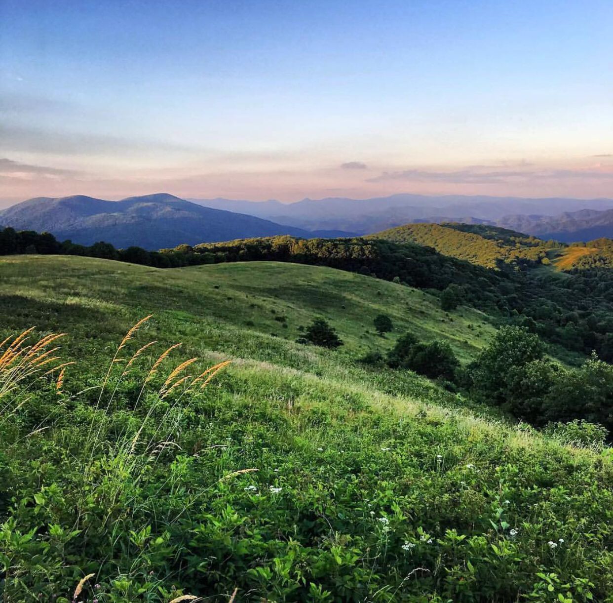 Max Patch Mountain 