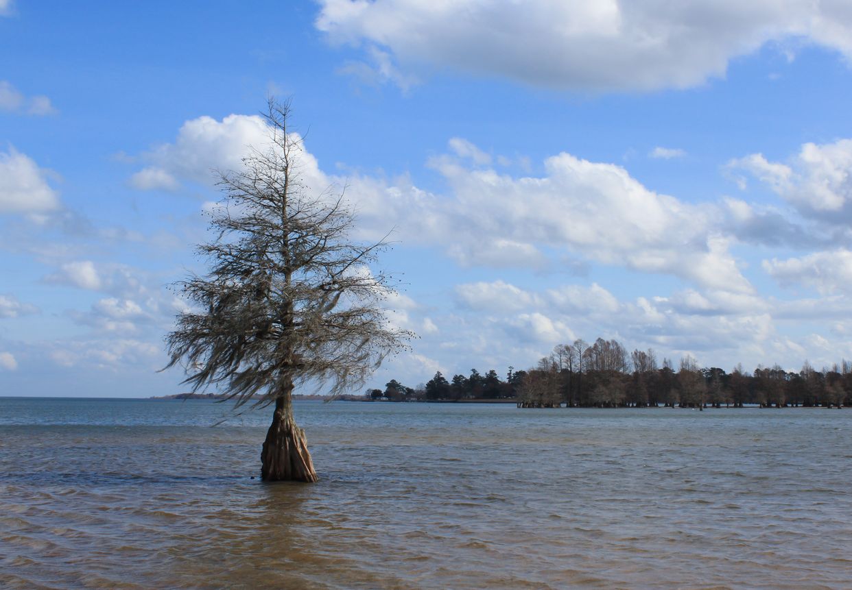 Lake Marion