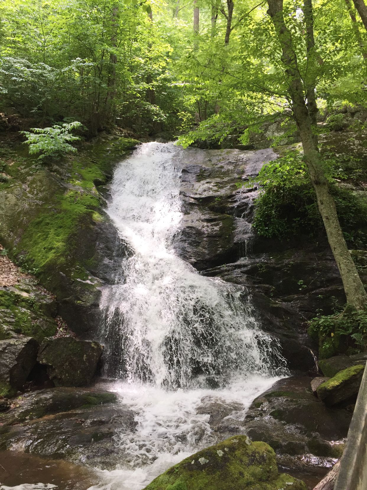 Lower Crabtree Falls