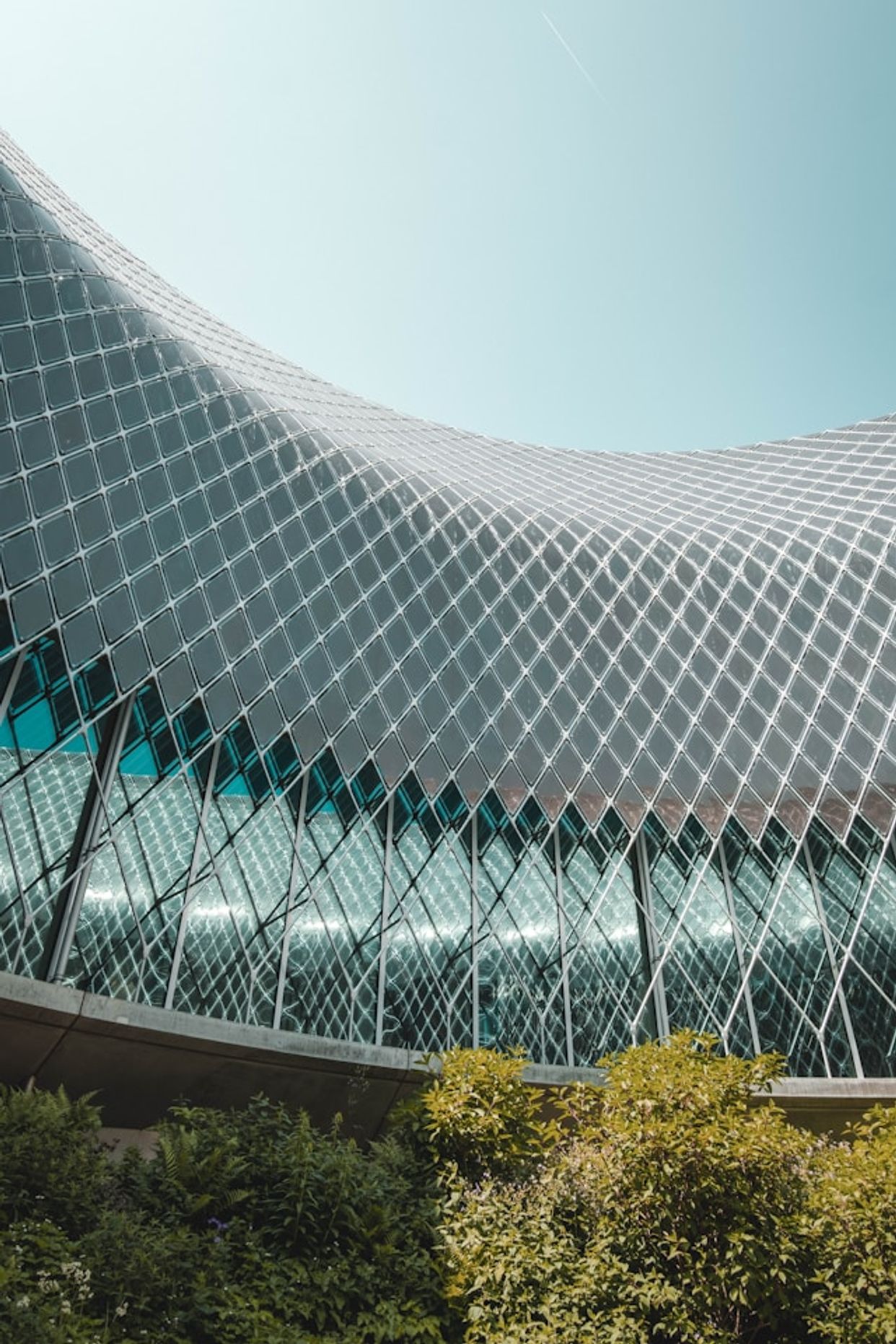 Novartis Pavillon