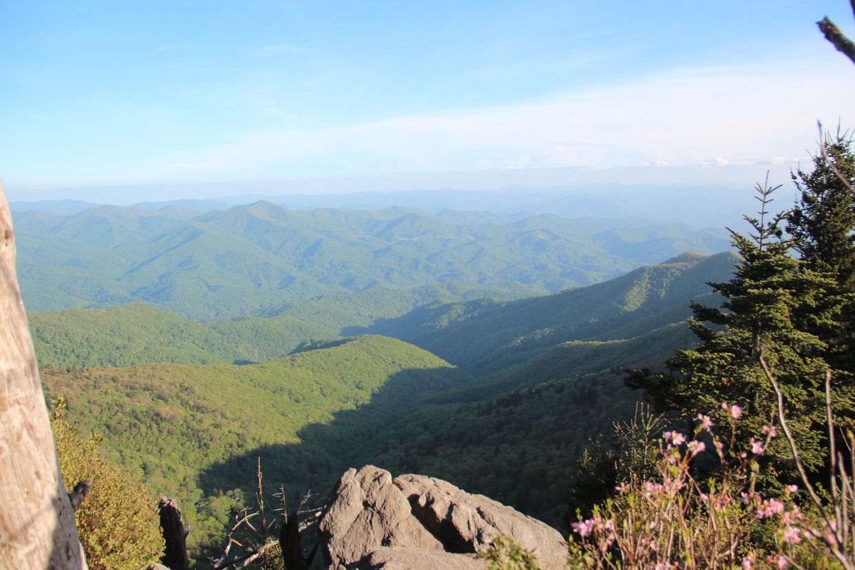 Waterrock Knob Summit View