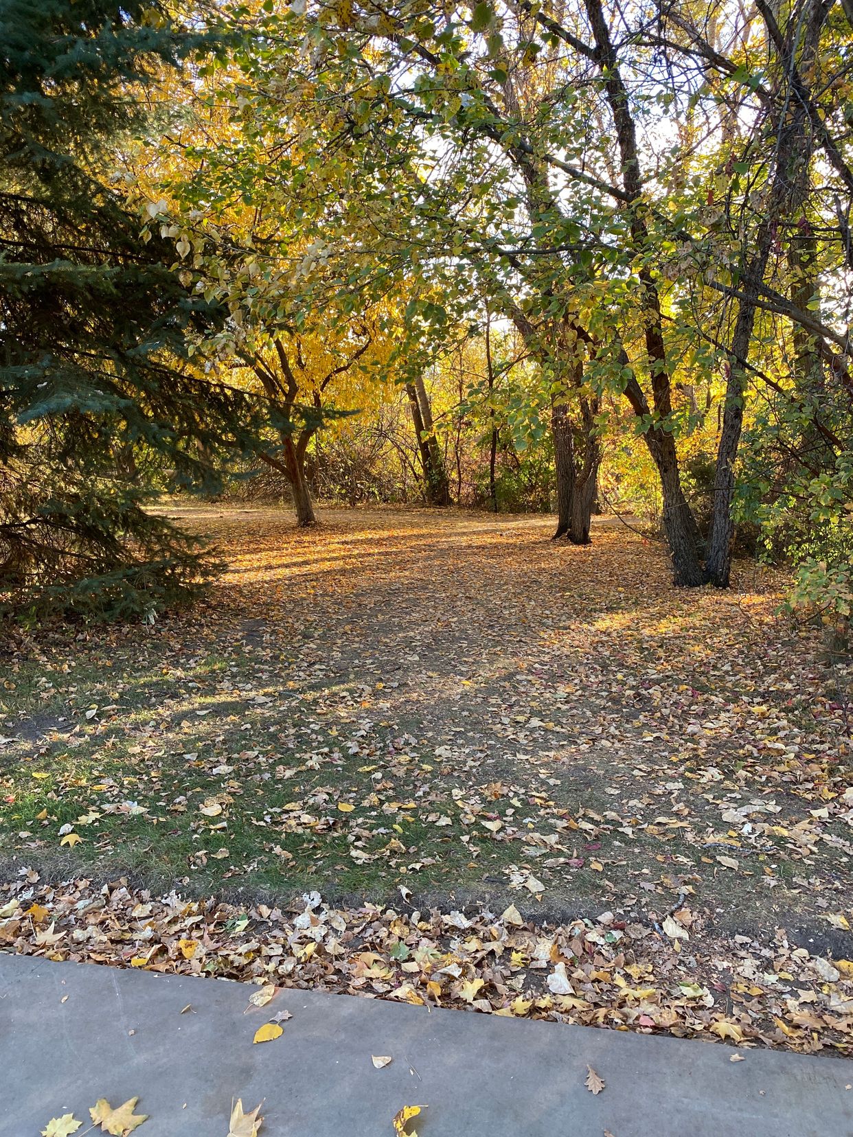 Boise River Greenbelt