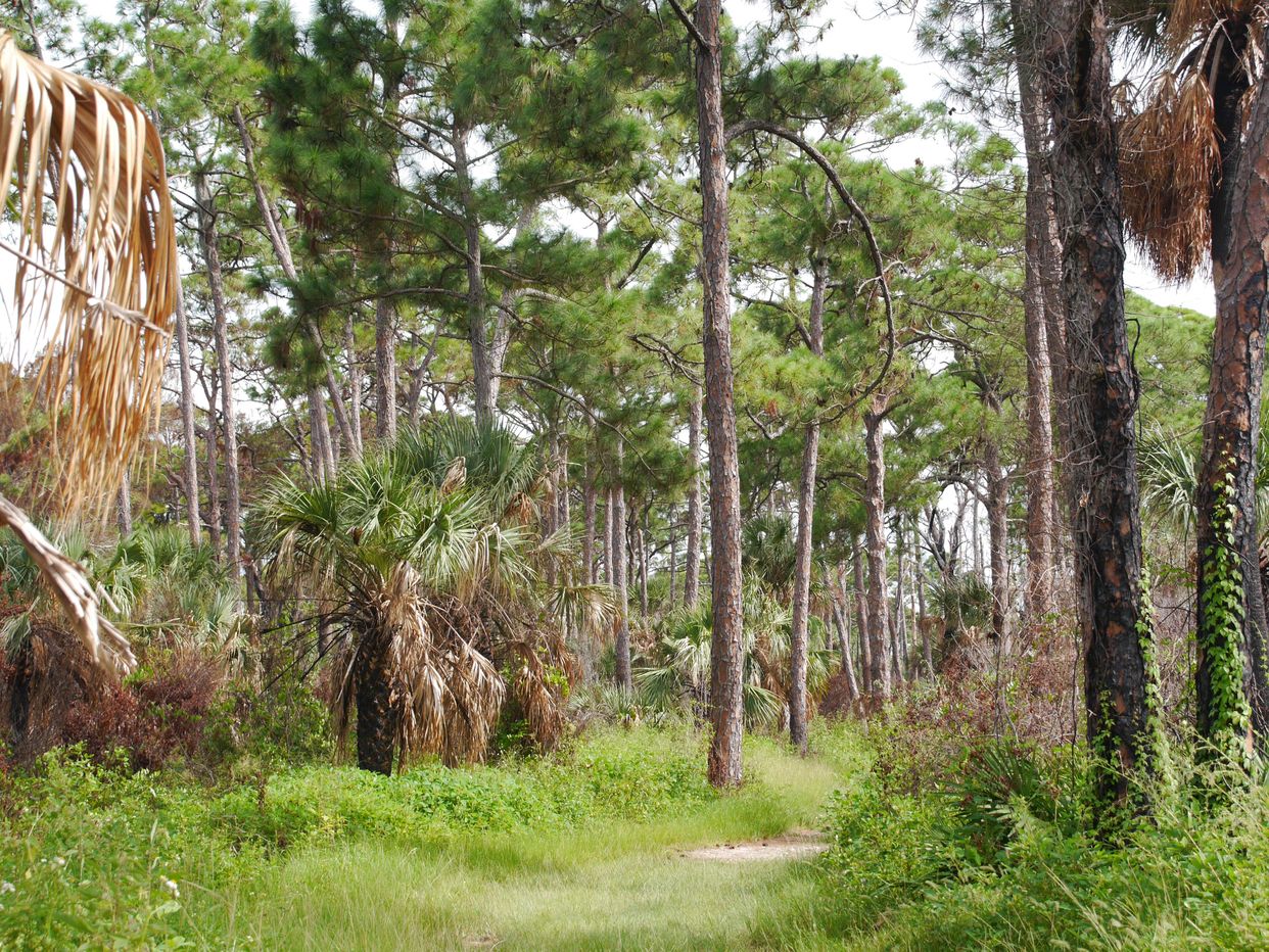 Osprey Trail