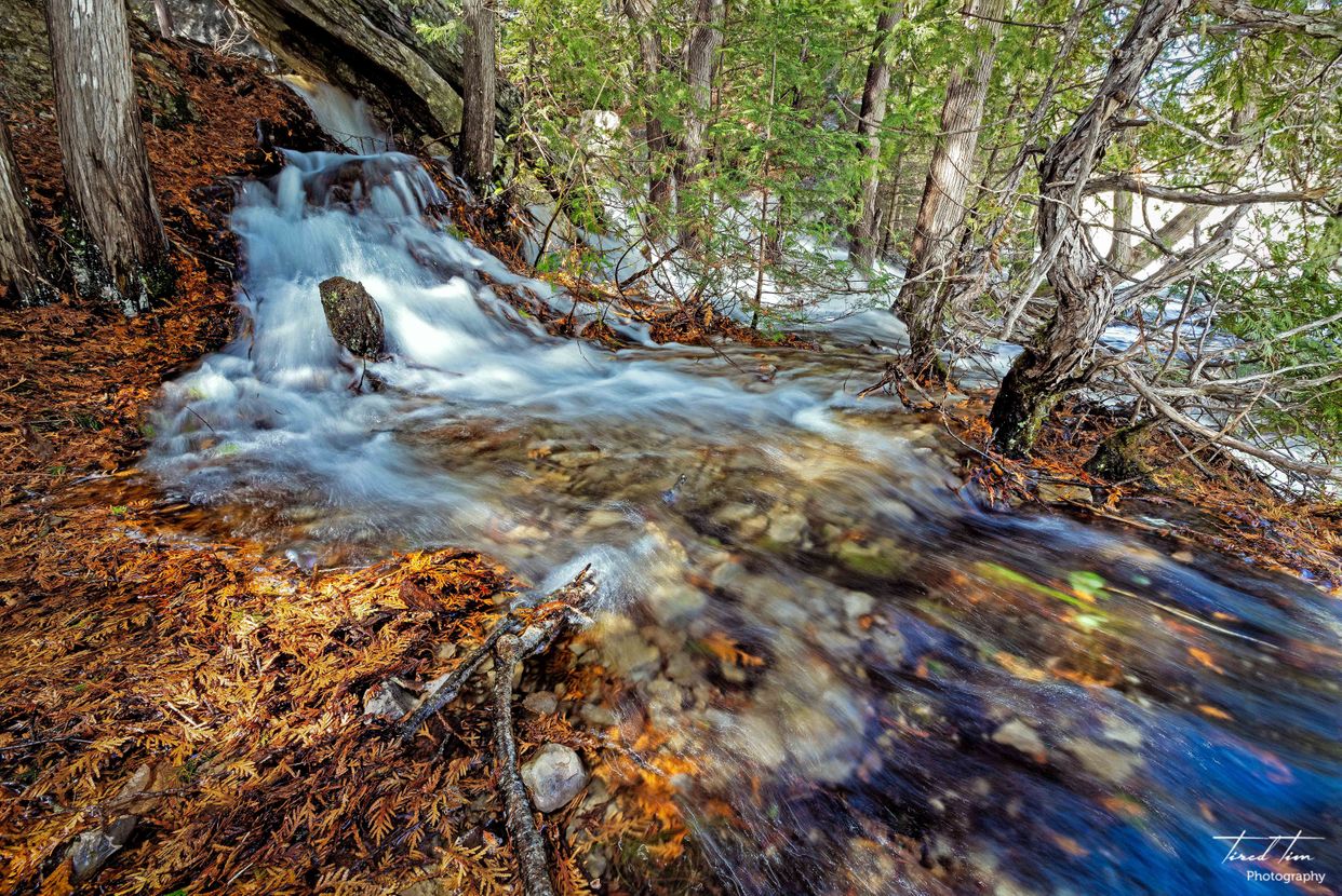 Bonnechere River