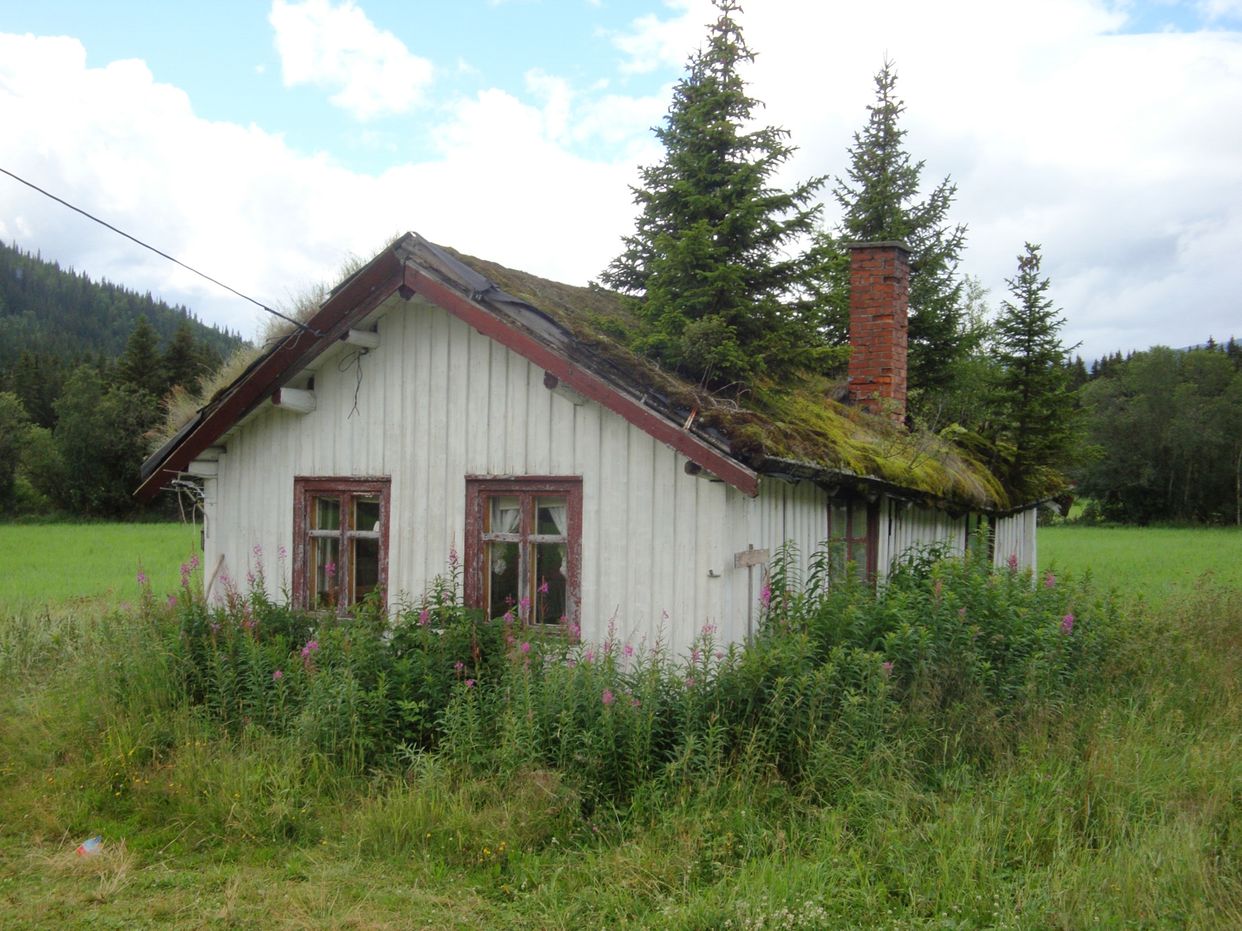 Tree View House