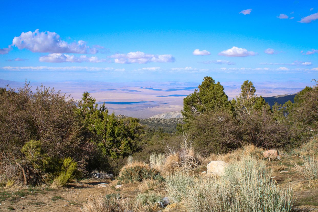 Baldwin Summit Vista - Photo by ajcampbell_photography