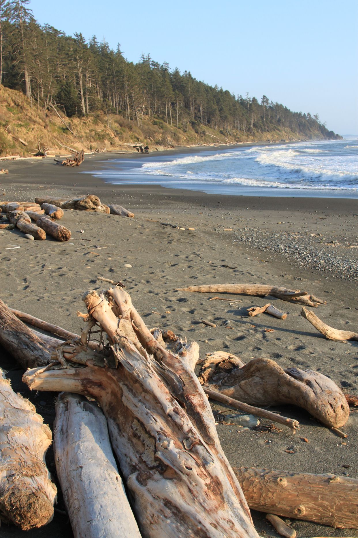 Kalaloch Beach 4 