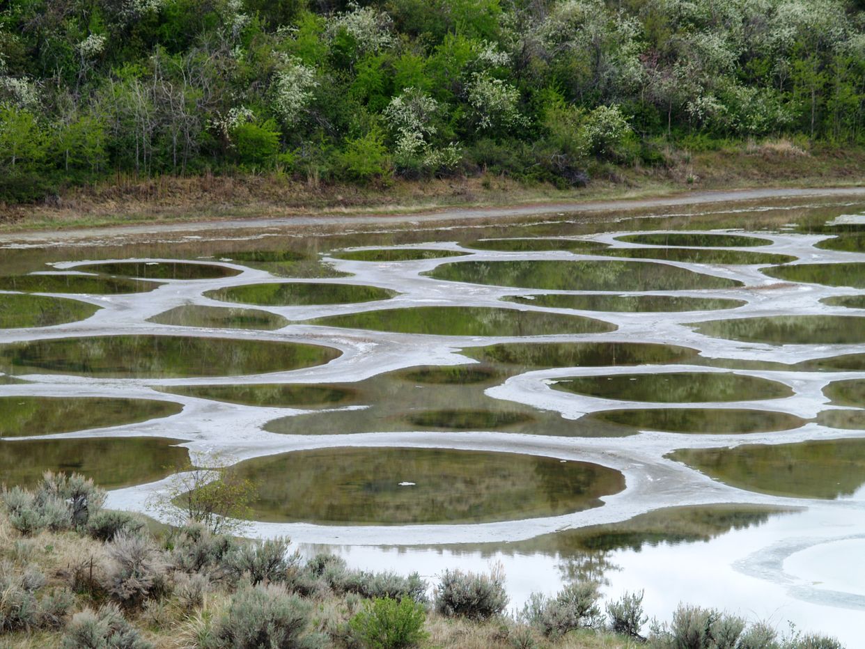 Spotted Lake