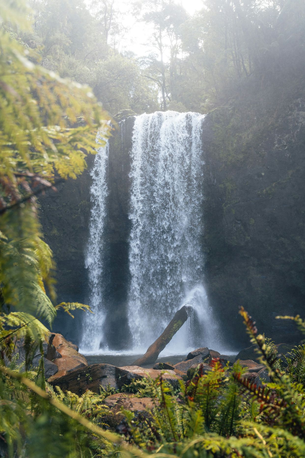 Beauchamp Falls
