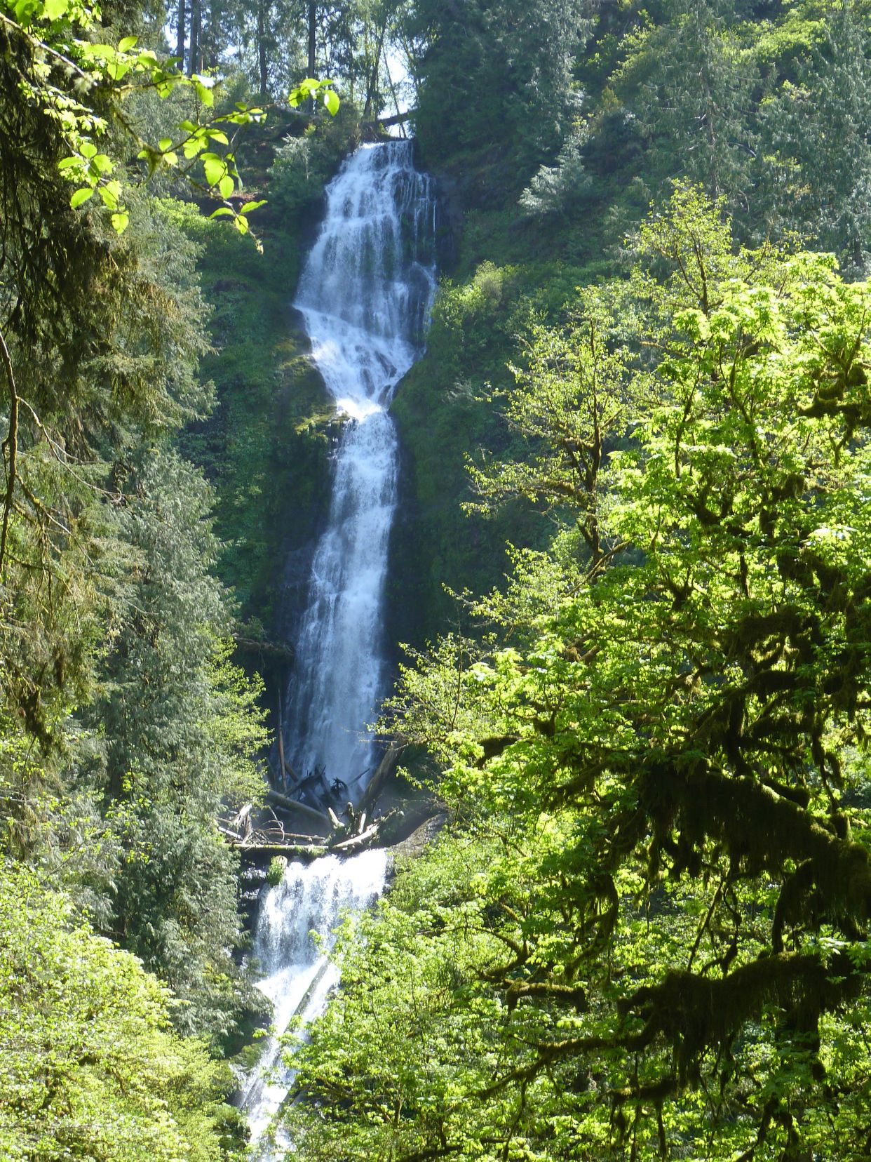 Munson Creek Falls