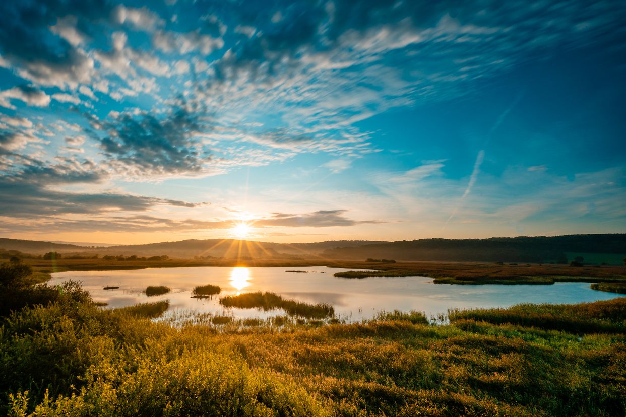 RSPB Leighton Moss