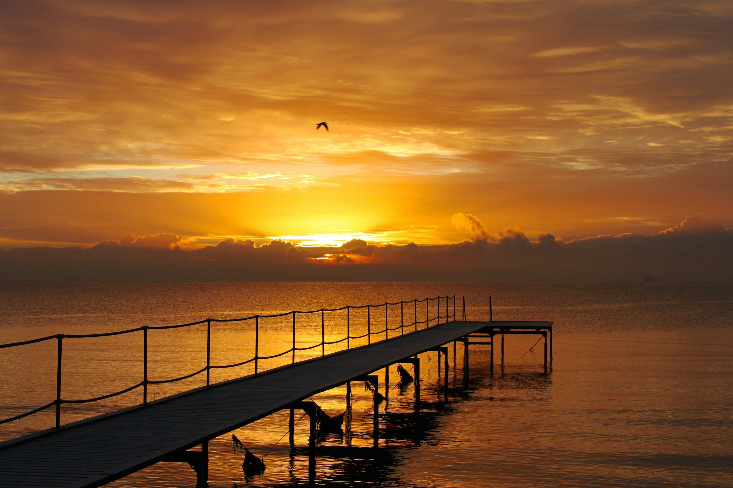 Bellevue Beach