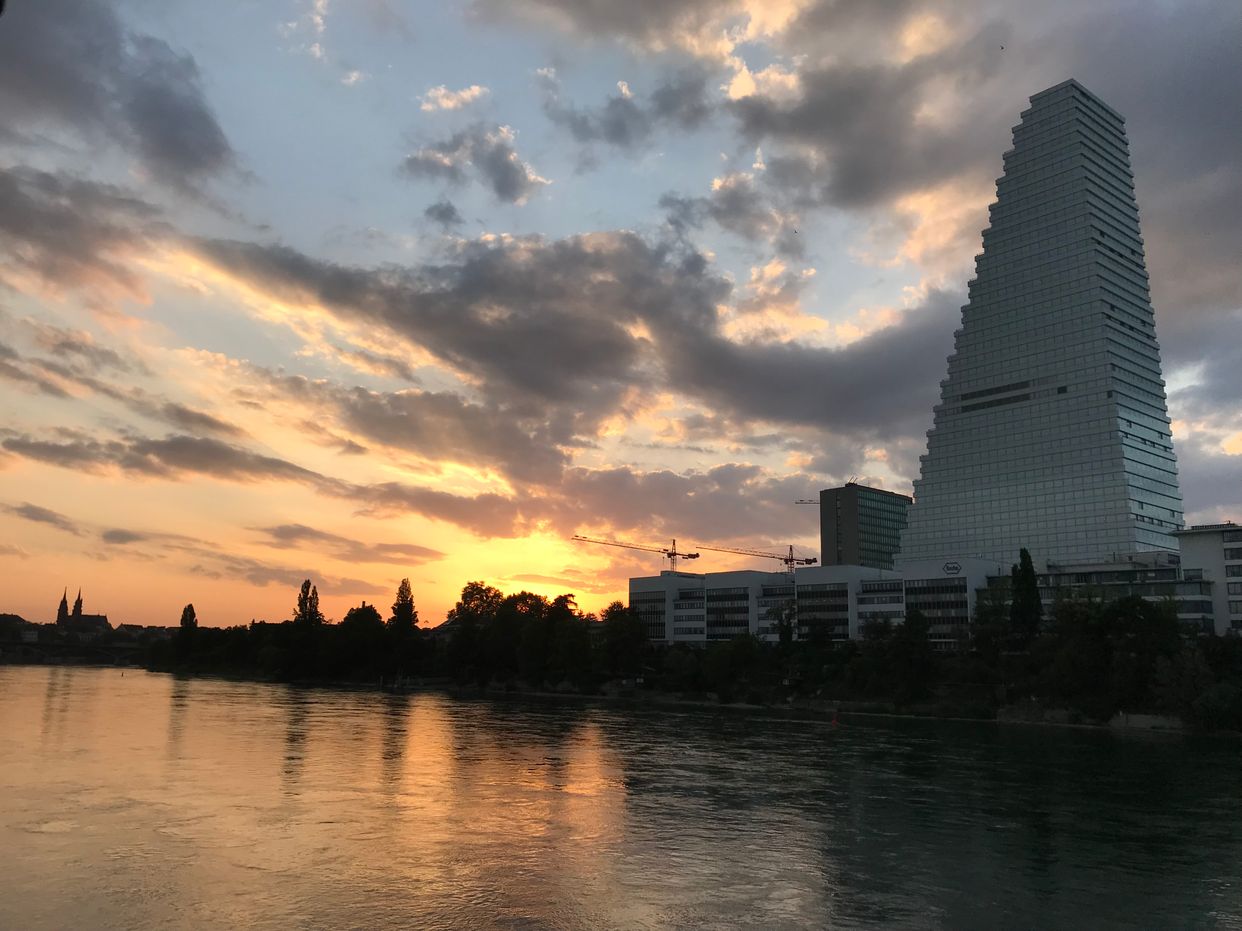 Rhine River View