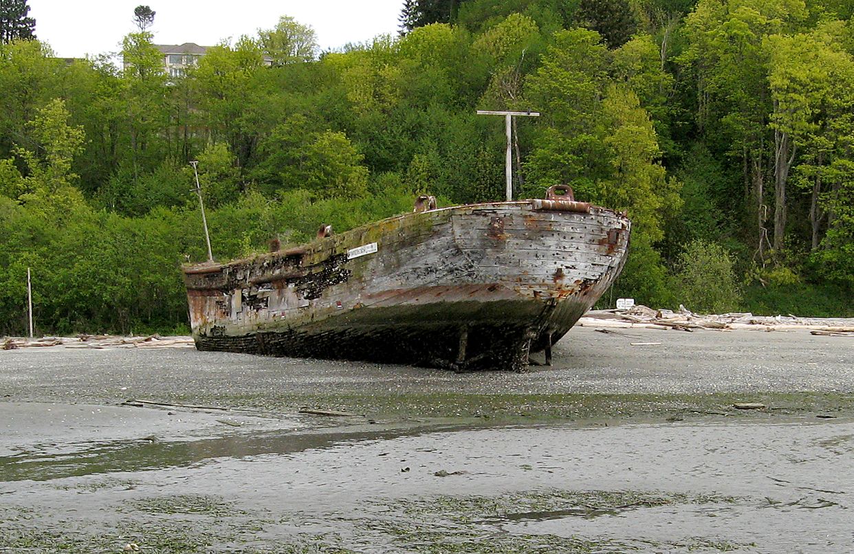 Abandoned Shipwreck