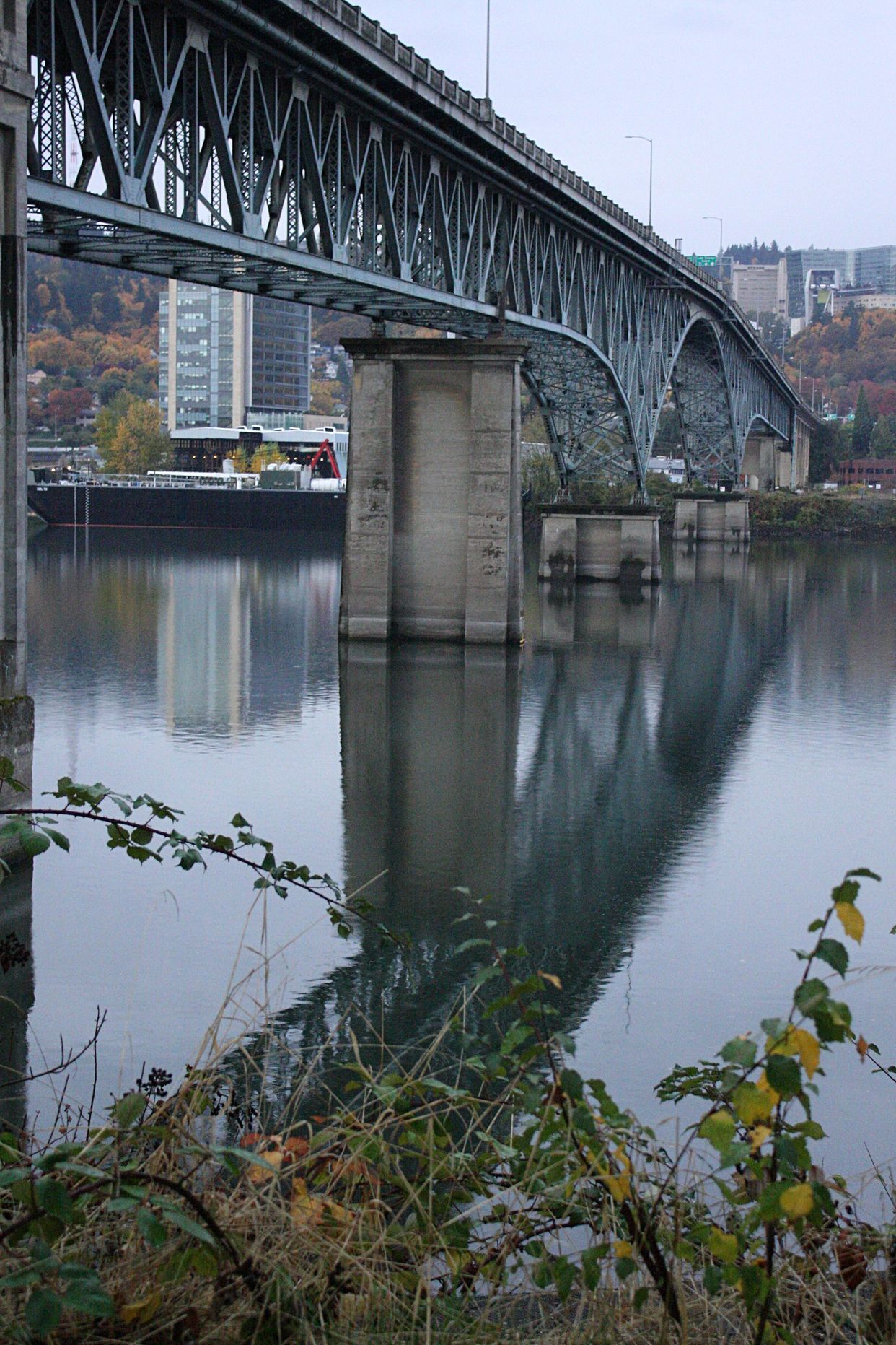 Ross Island Bridge