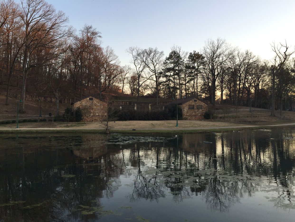  Avondale Park Pond
