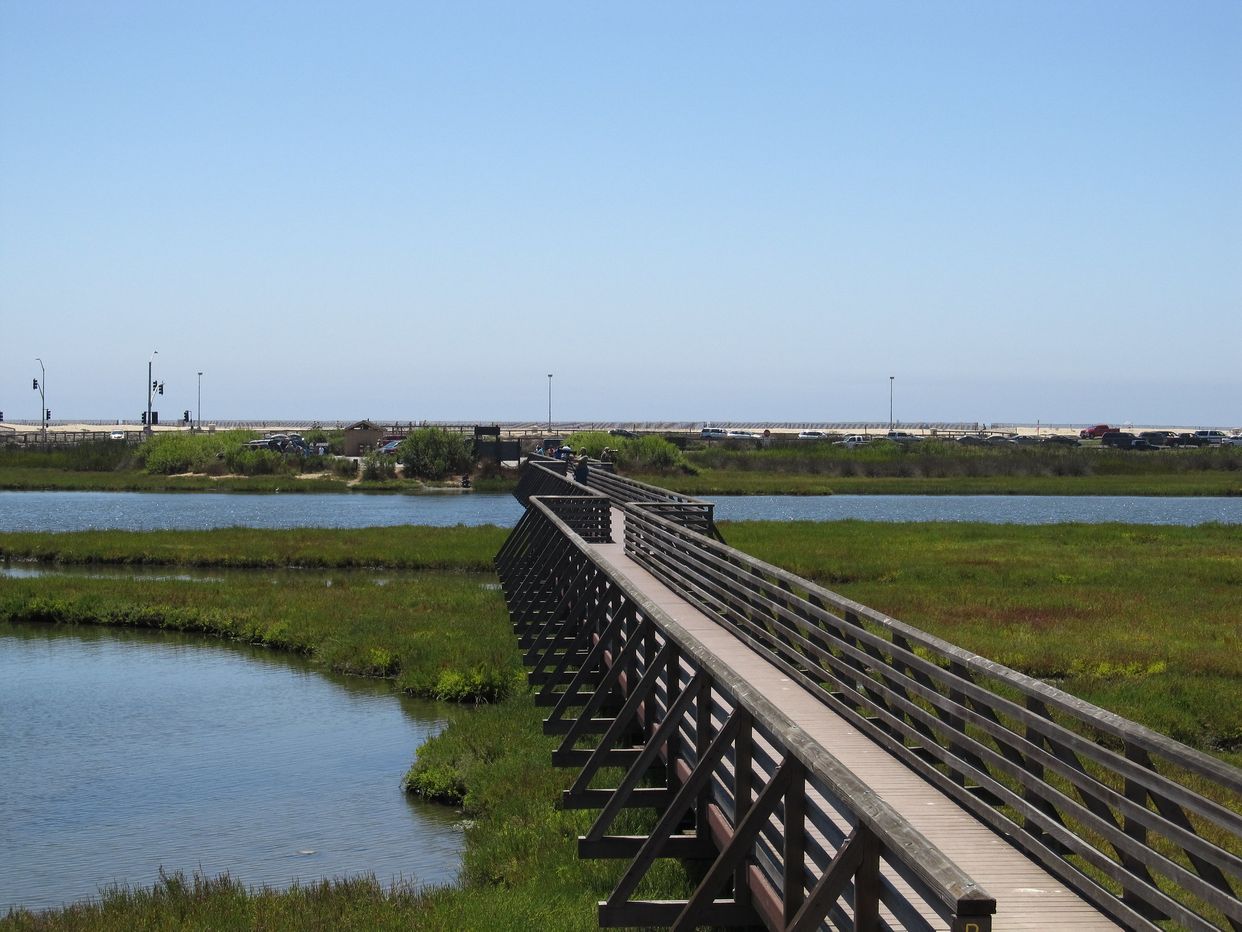 Bolsa Chica Conservancy
