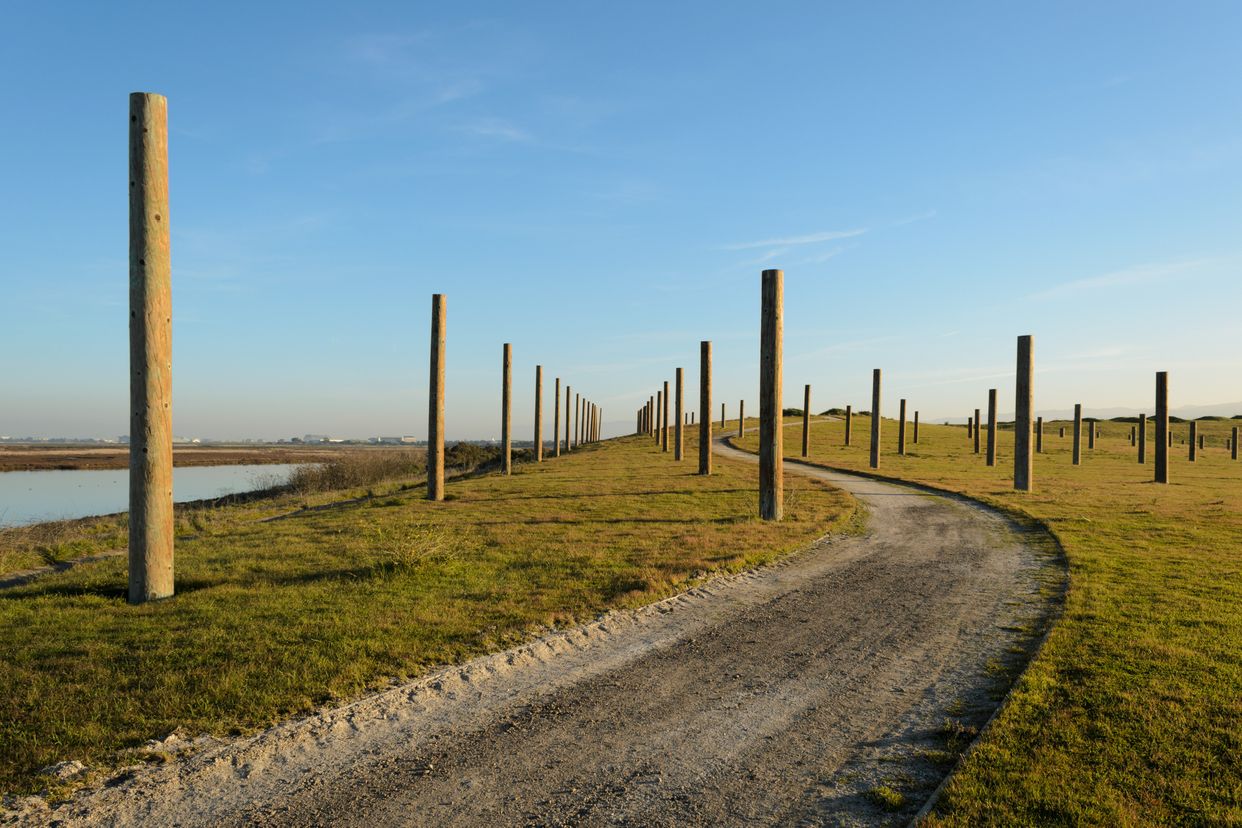 Baylands Nature Preserve