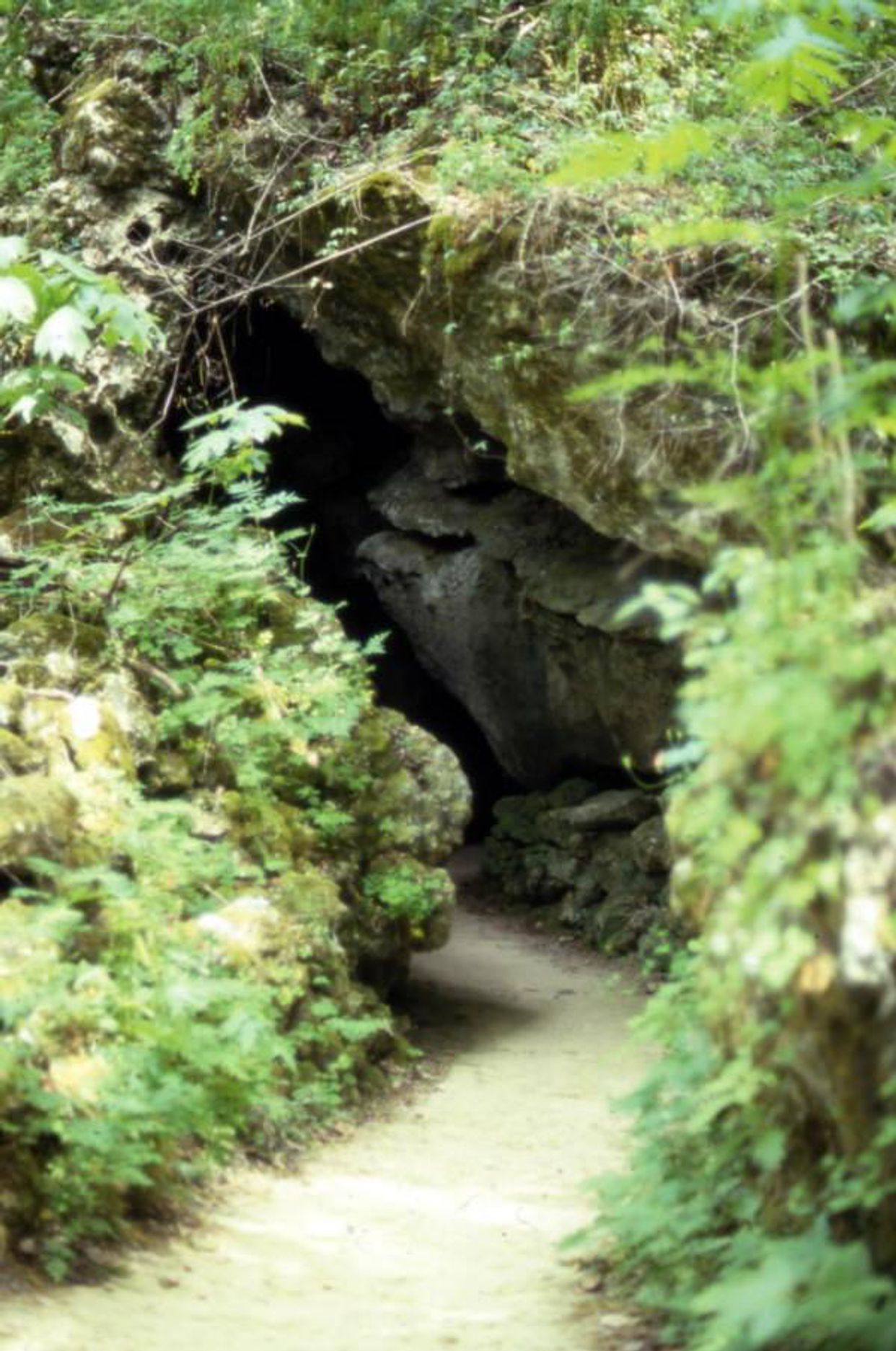 Florida Caverns State Park