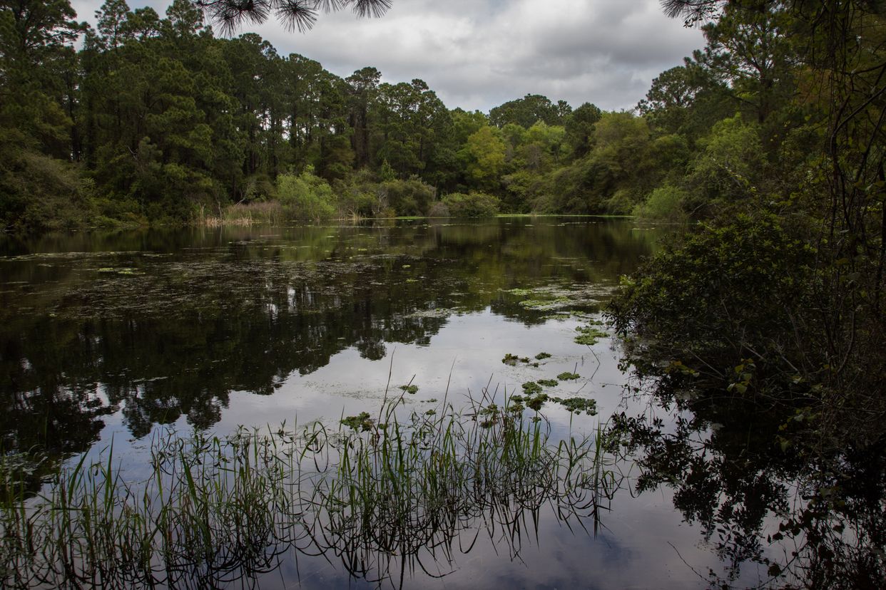 Horton Pond