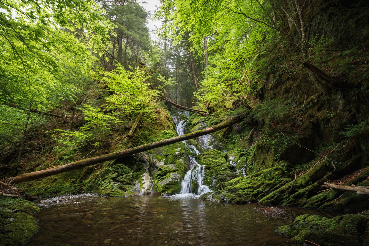 Green Hill Falls