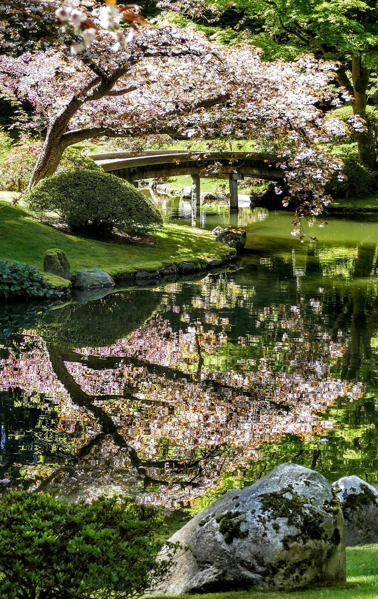 Nitobe Memorial Garden