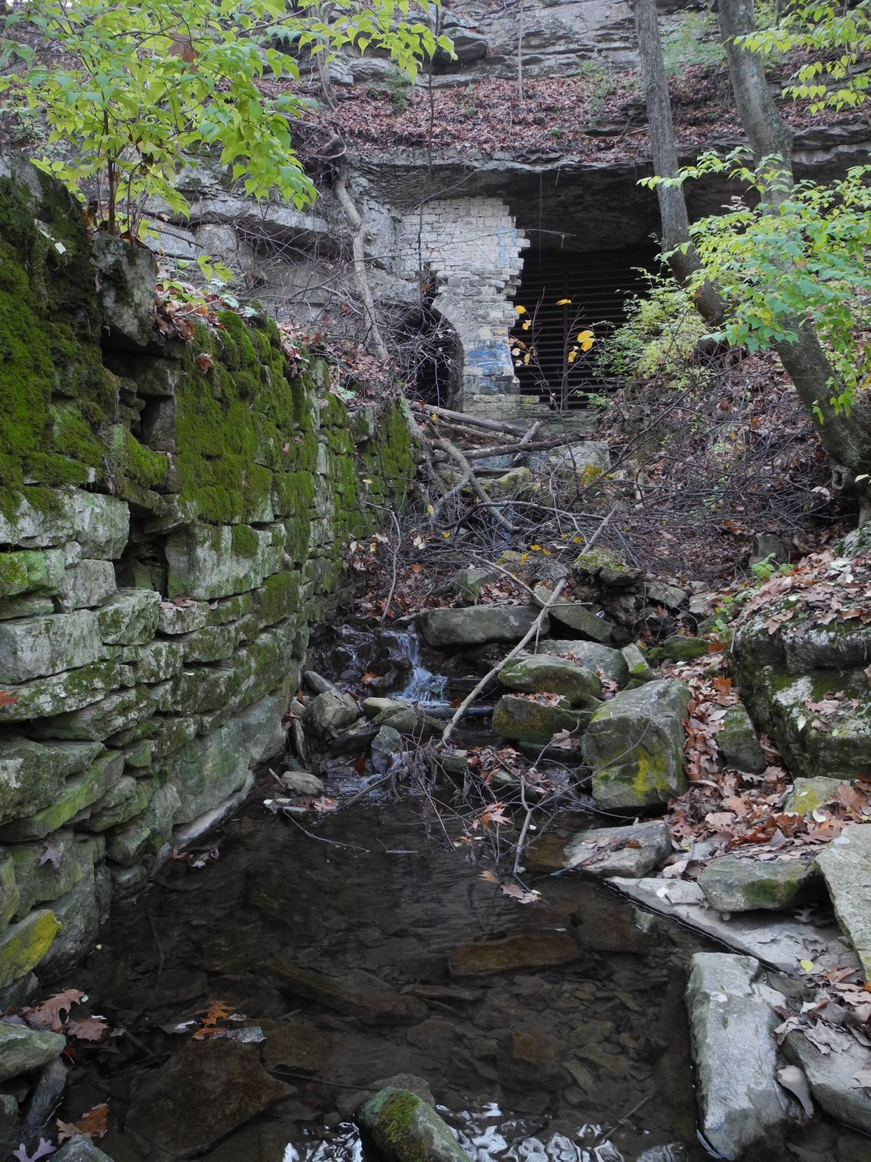 Cliff Cave