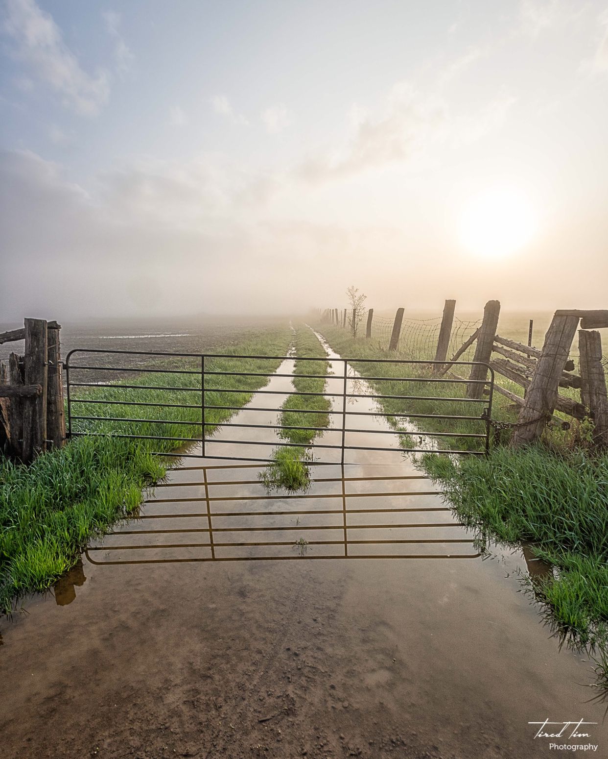 Old Country Lane