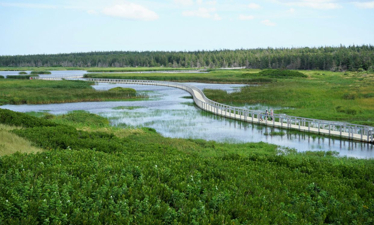Greenwich, Prince Edward Island National Park
