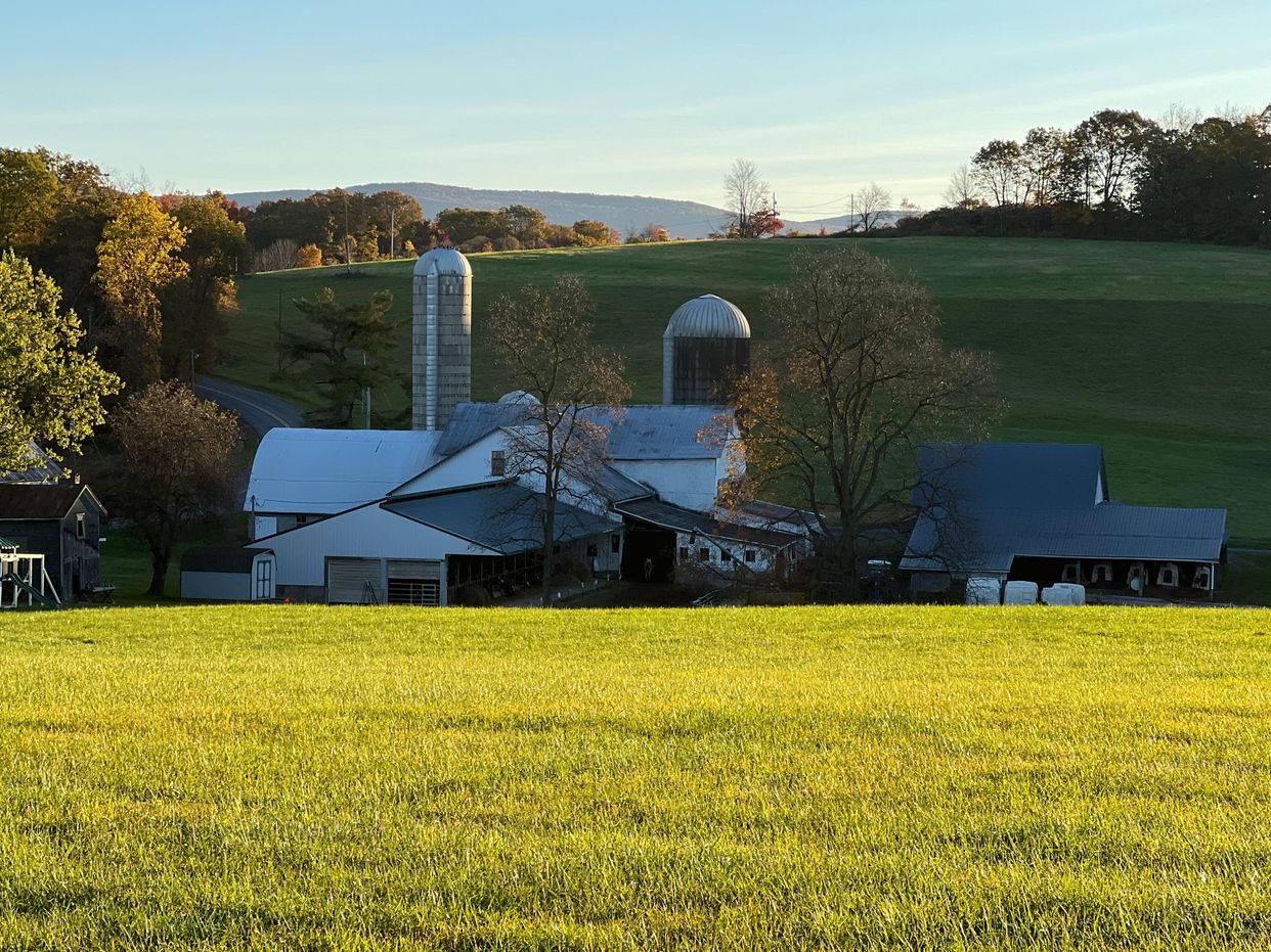 Scenic Barn 