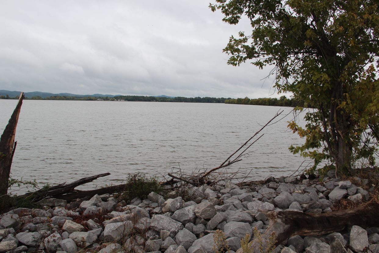 Weiss Lake