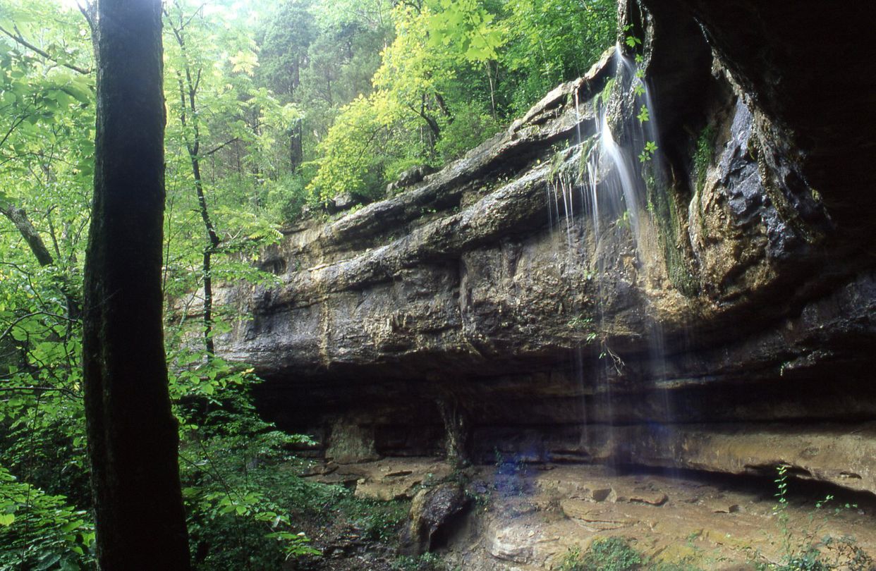 Waterline Trail Falls