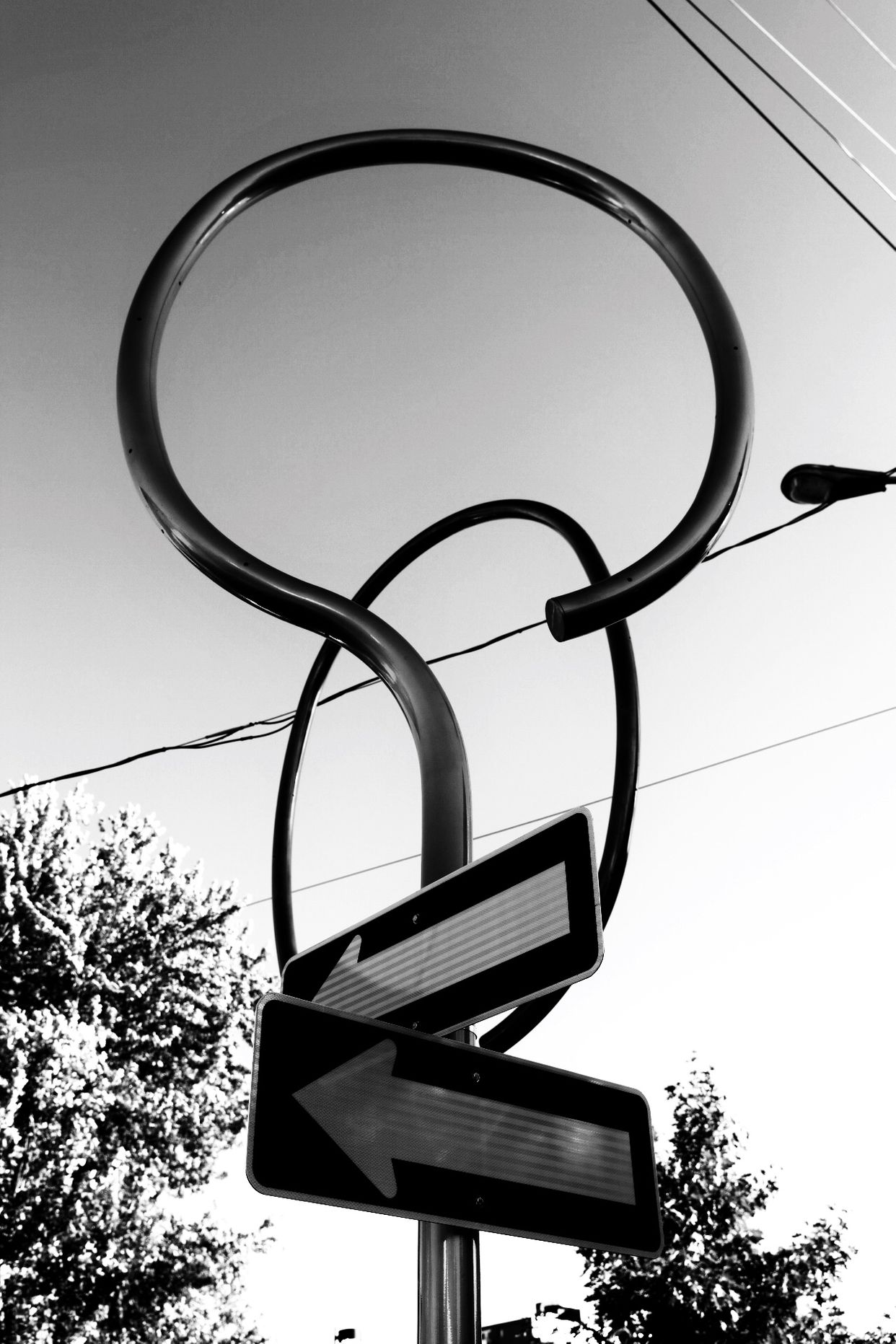 Ring Sculptures