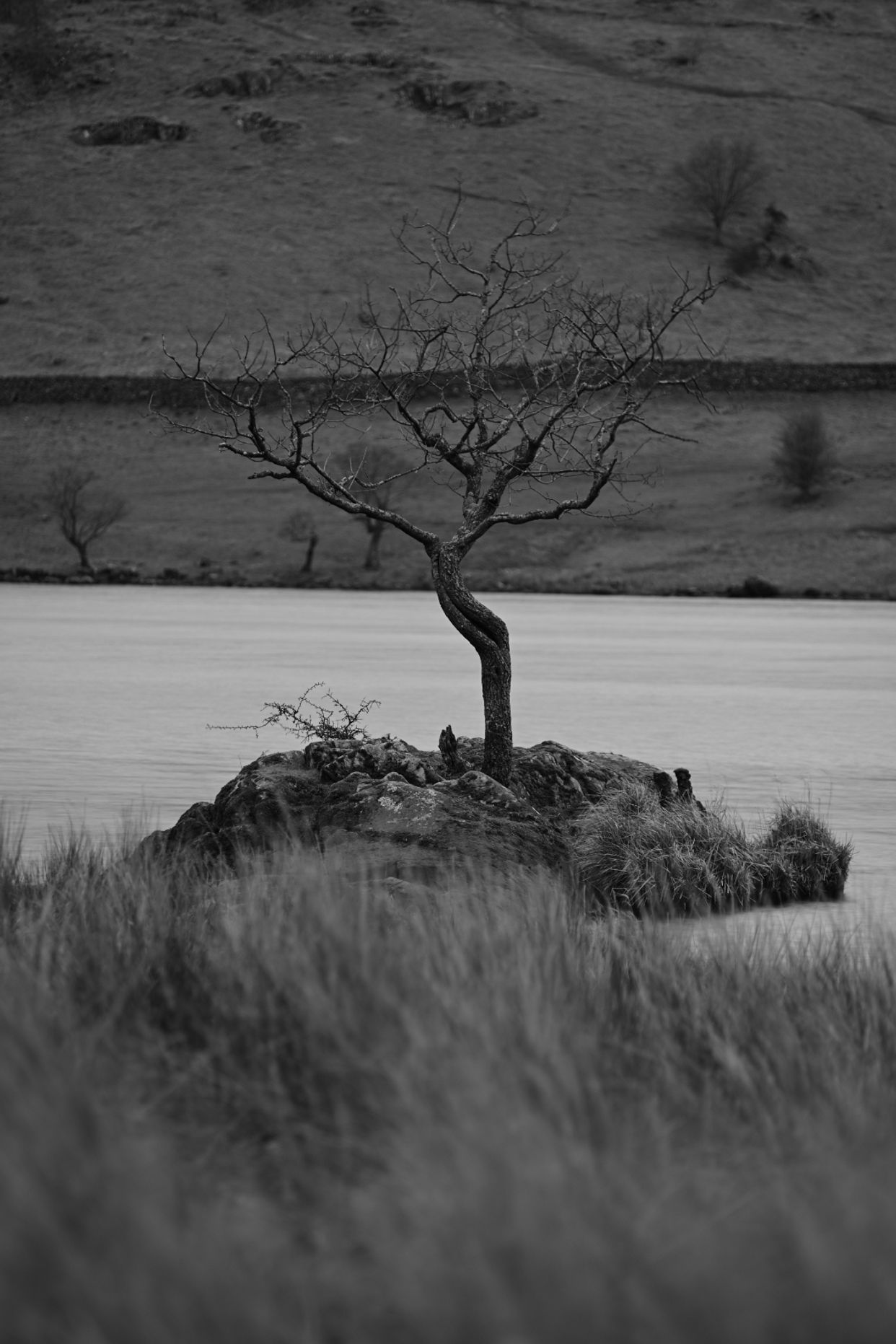 Rydal Water