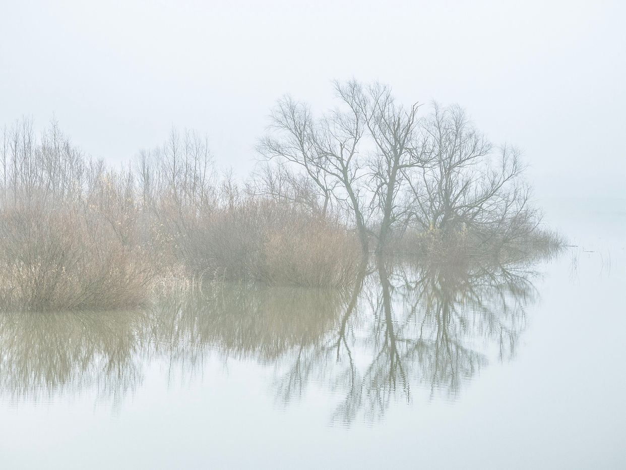 Oude Waal