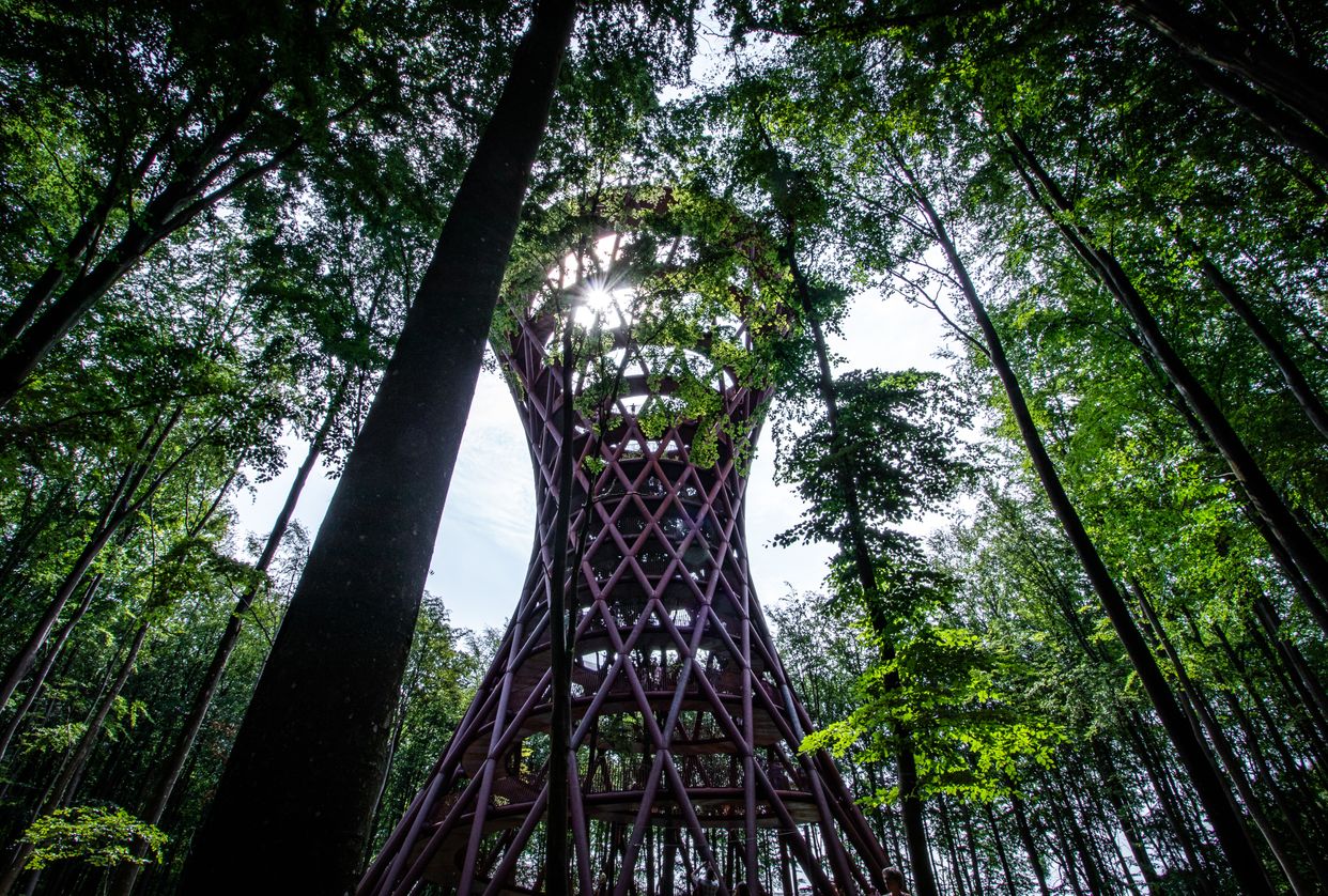 Skovtårnet Tower