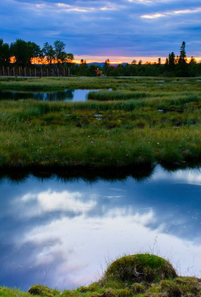 Langedrag Naturpark — Photo by Hege Benedicte photography