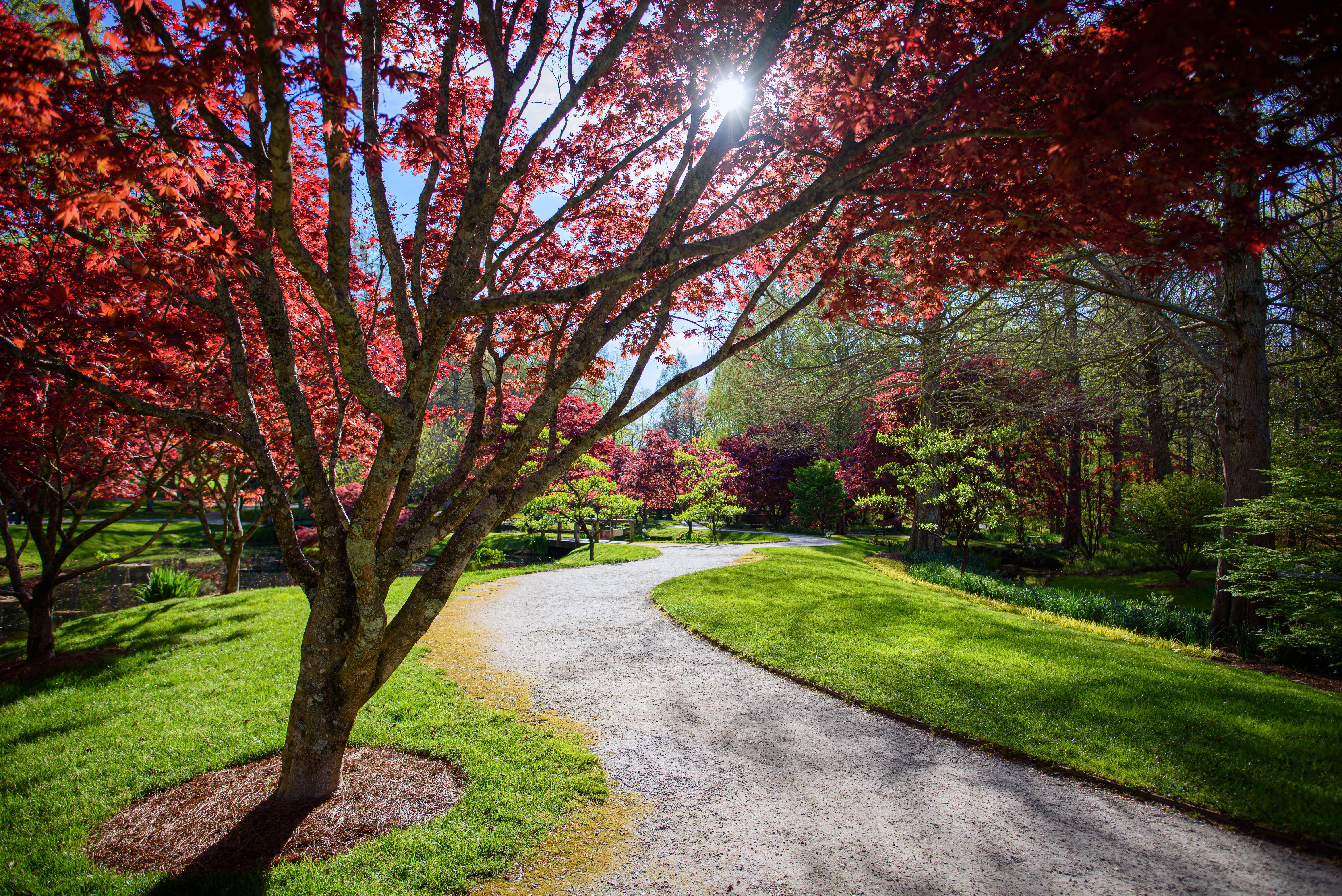 Gibbs Gardens — Photo by George Cribbs