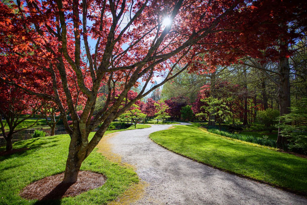 Gibbs Gardens - Photo by George Cribbs