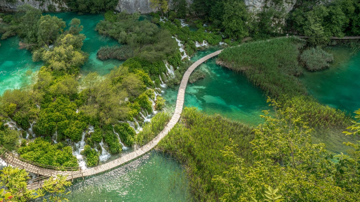 Okrugljak