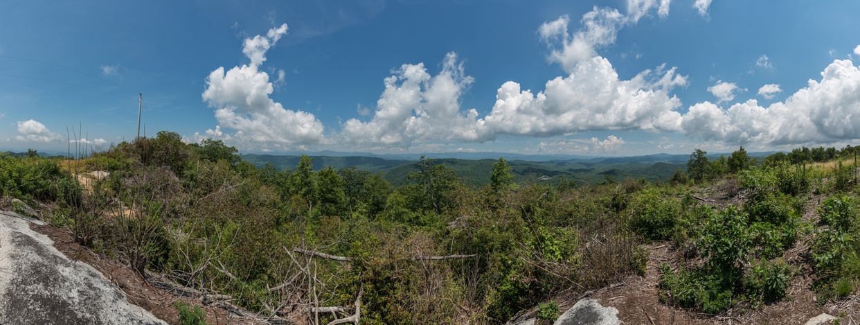 Sassafras Mountain