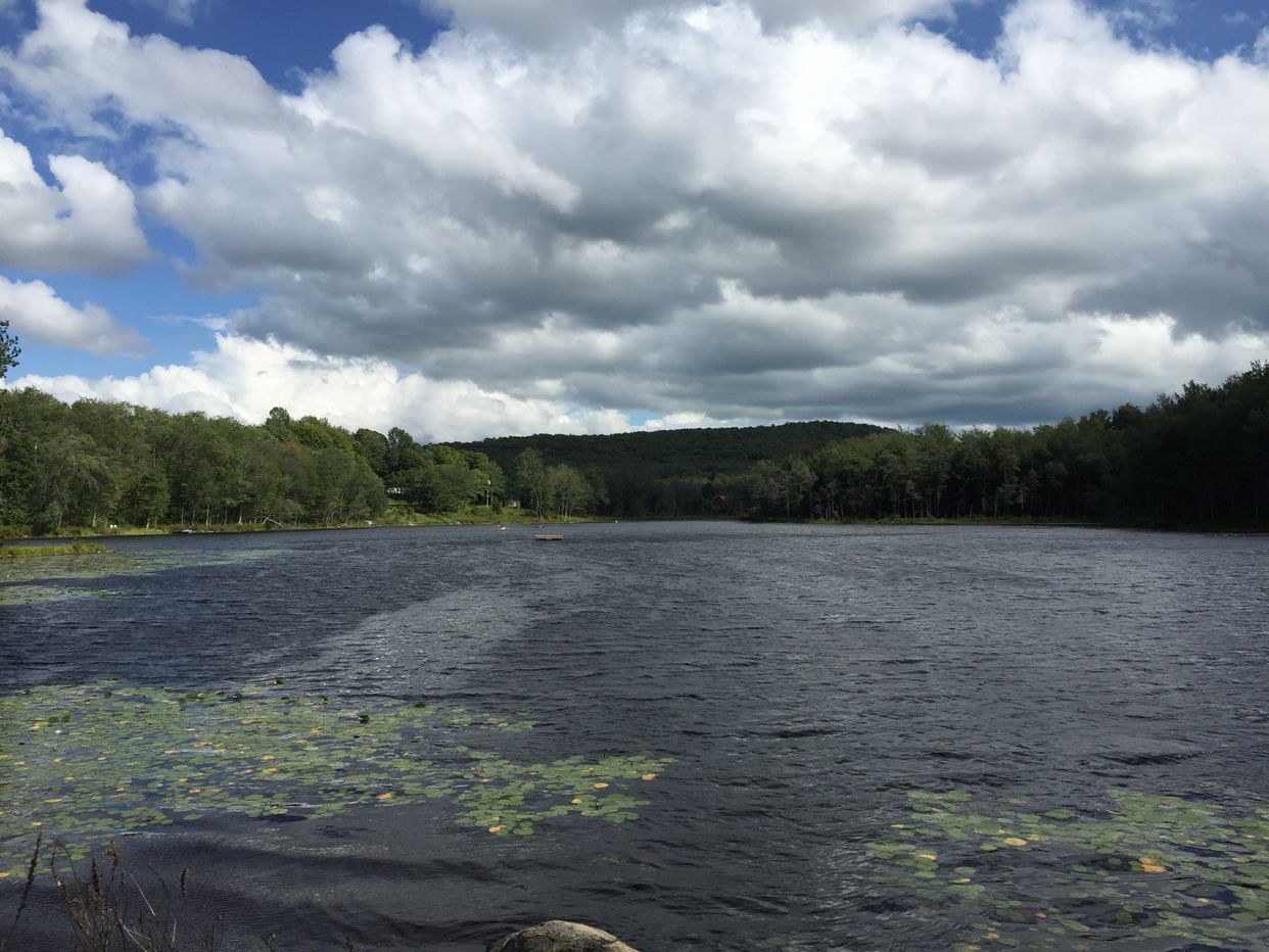 Little Bowman Pond 