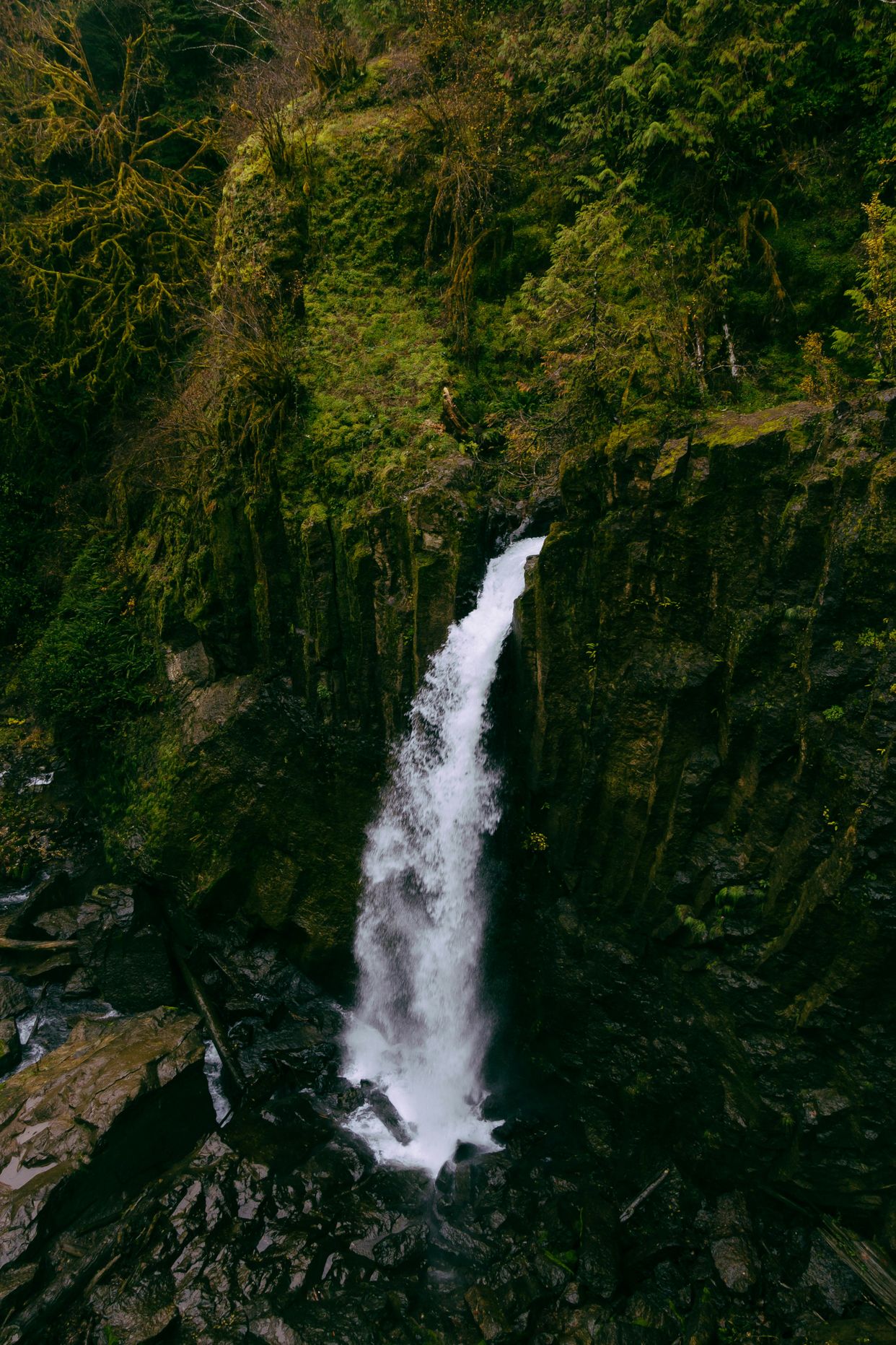 Drift Creek Falls 