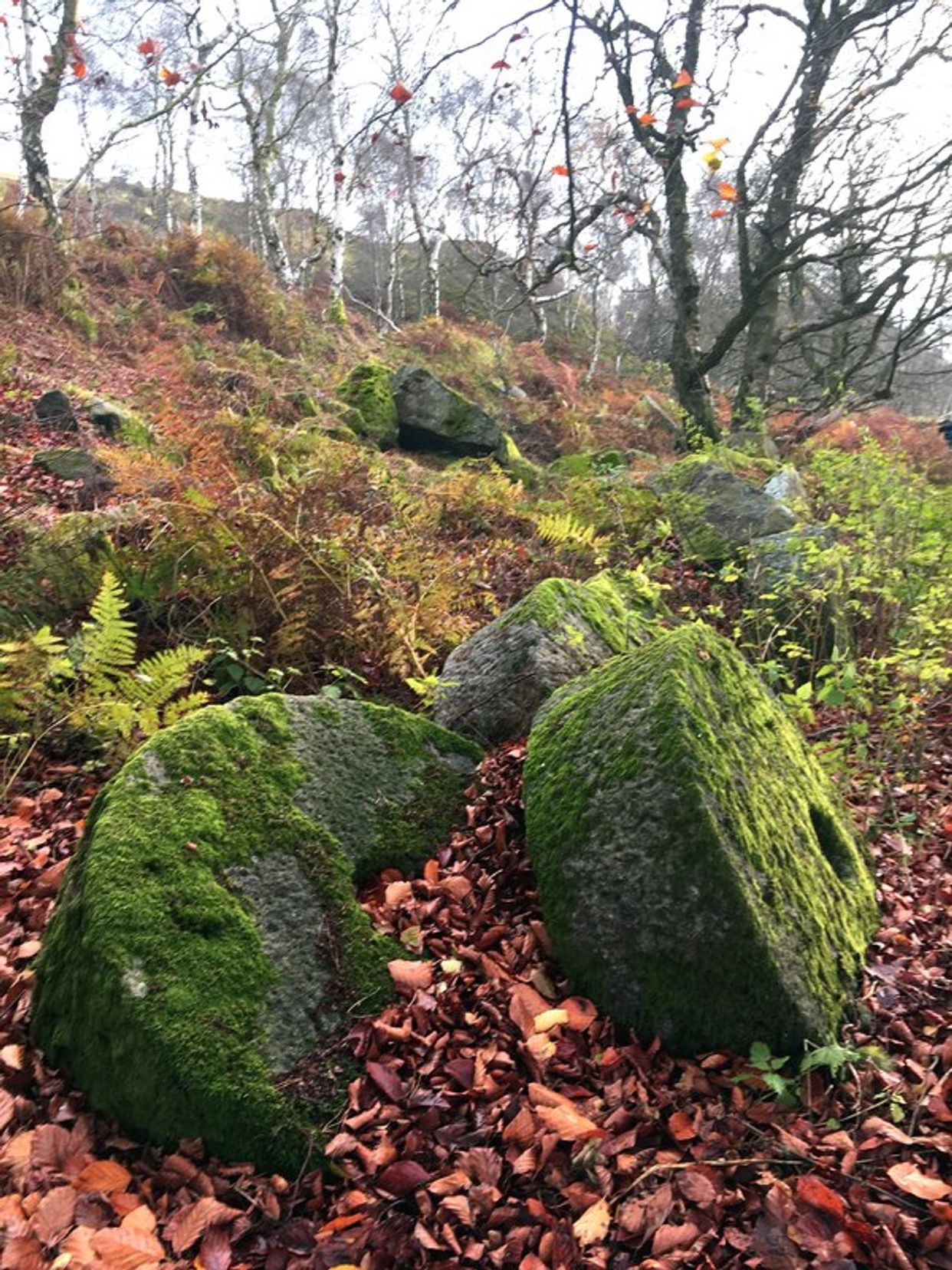 Abandoned Millstones