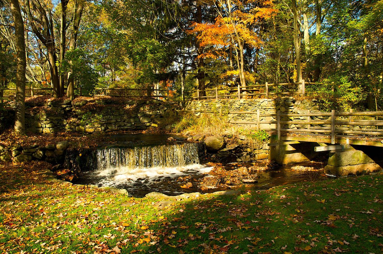 War Memorial Park 