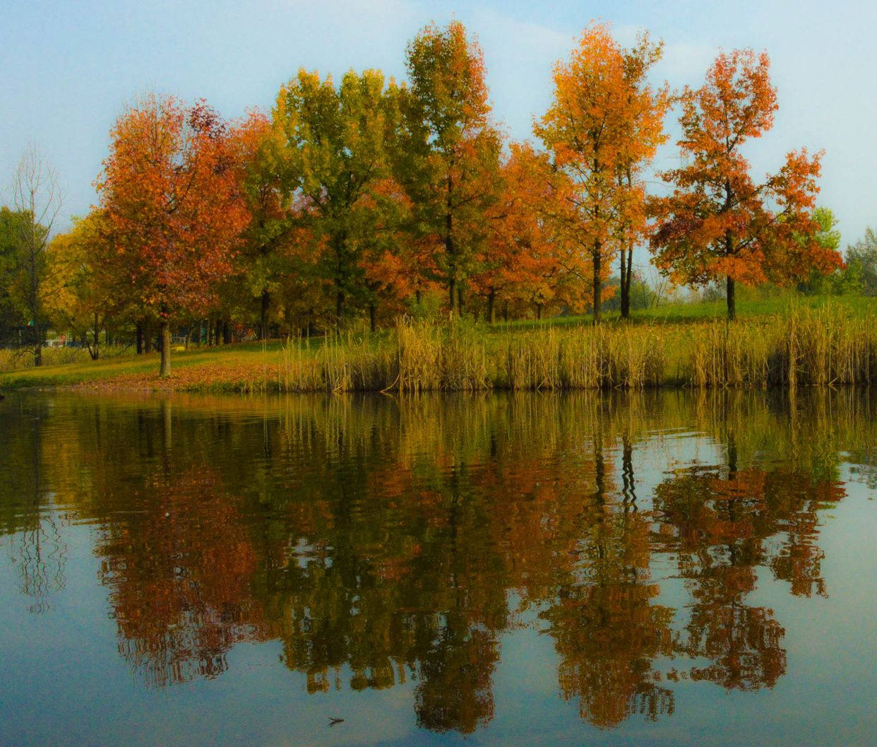 Pellerina Park