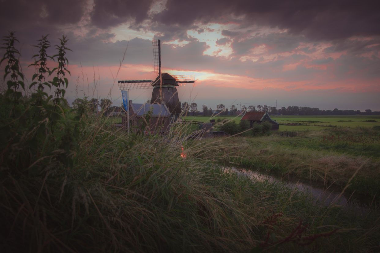 Schellinkhout Windmill